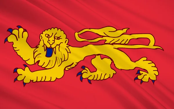 Vlajka Akvitánie — Stock fotografie