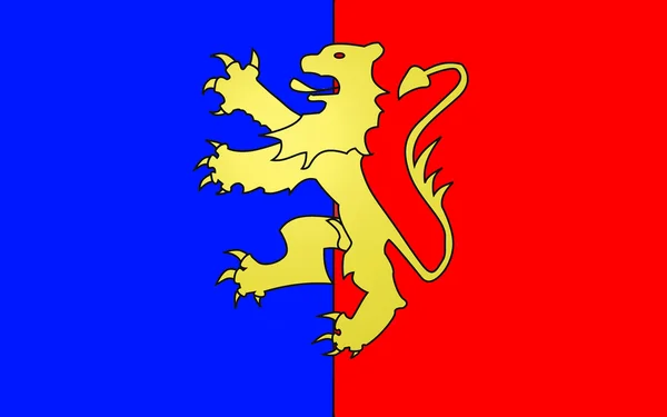 베르나이의 국기, 프랑스 — 스톡 사진