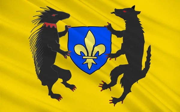 Vlajka Blois, Francie — Stock fotografie