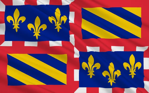 Vlag van Bourgondië de regio Oost-Centraal Frankrijk — Stockfoto