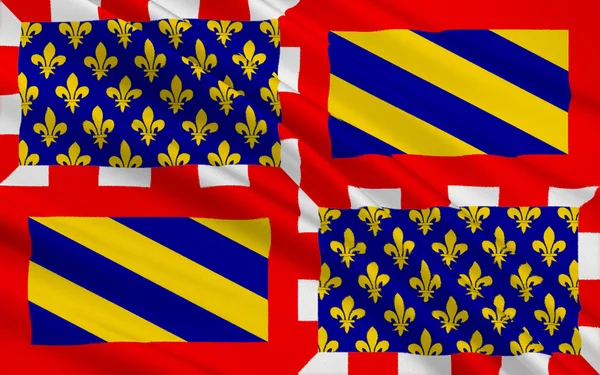 Doğu-orta Fransa bölgesi Burgundy bayrağı — Stok fotoğraf