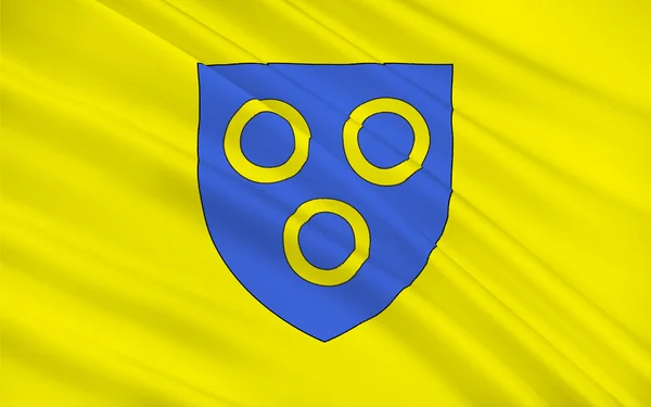 Chalon-sur-Saone bayrağı, Fransa — Stok fotoğraf