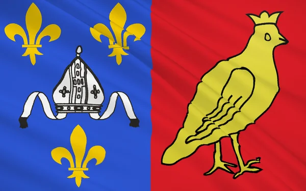 Charente-Maritimes flagga — Stockfoto