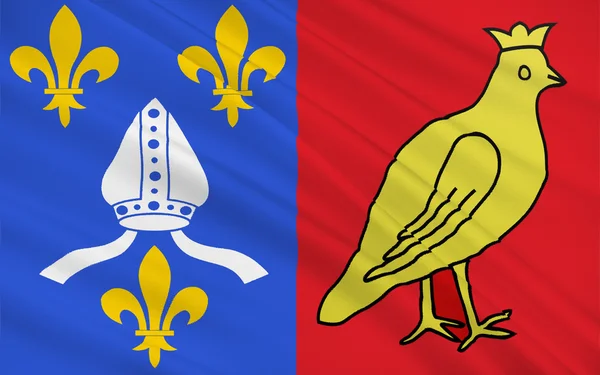 Флаг Приморского Шаранта, Франция — стоковое фото