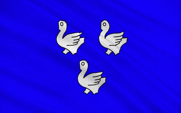 Flag of Cosne-Cours-sur-Loire, France — Stock Photo, Image