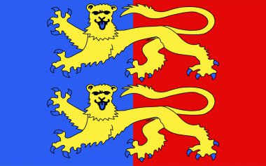 Manche Bayrağı, Fransa