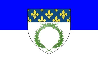 Reims Bayrağı, Fransa