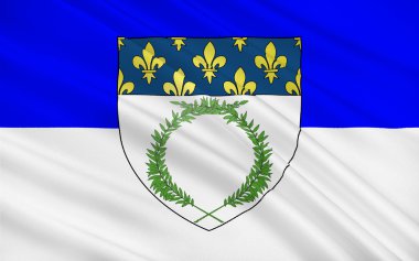 Reims Bayrağı, Fransa