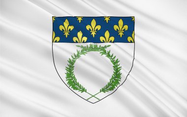 Reims Bayrağı, Fransa