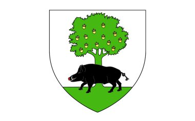 Sedan Bayrağı, Fransa