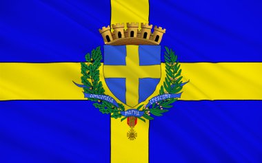 Toulon Bayrağı, Fransa