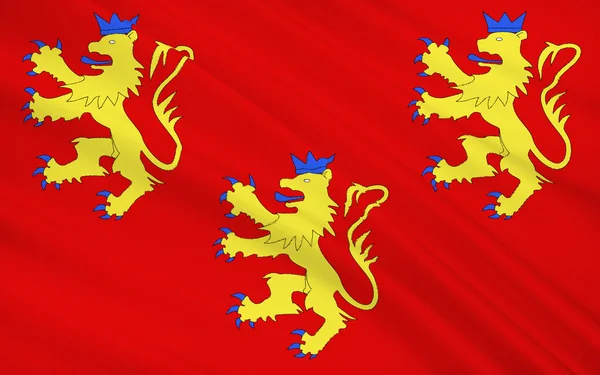 Flag of Dordogne — Stock Photo, Image