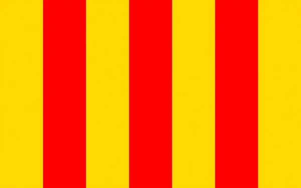 Bandeira de Foix, França — Fotografia de Stock