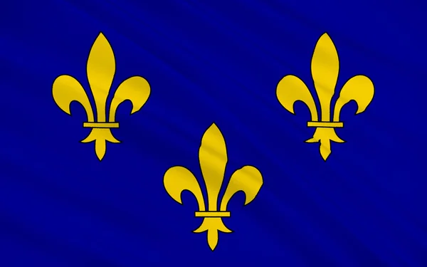 Ile-de-France, Fransa bayrağı — Stok fotoğraf