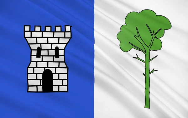 Flagge von la tour-du-pin, Frankreich — Stockfoto