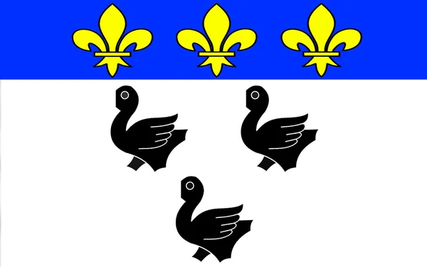 Σημαία του Λον, Γαλλία — Φωτογραφία Αρχείου