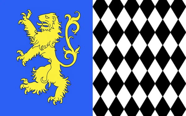 Vlag van Lesparre-Medoc, Frankrijk — Stockfoto