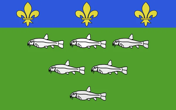 Vlag van Loches, Frankrijk — Stockfoto