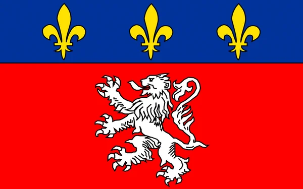 Vlag van lyon, Frankrijk — Stockfoto