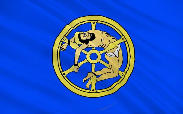 Vlag van Molsheim, Frankrijk — Stockfoto