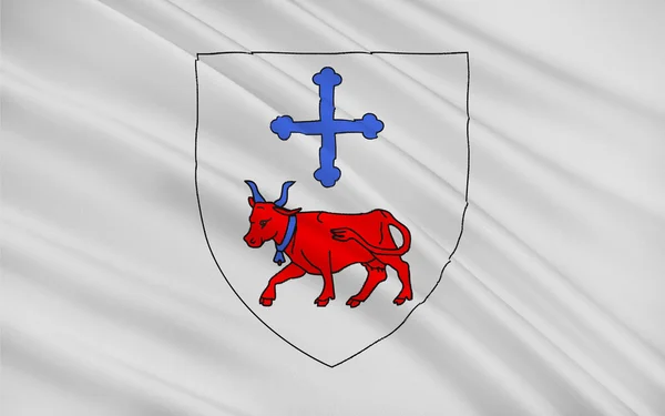 Oloron-Sainte-Marie, Franciaország zászlaja — Stock Fotó