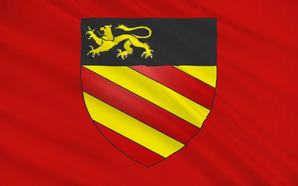 Palaiseaus flagga, Frankrike — Stockfoto