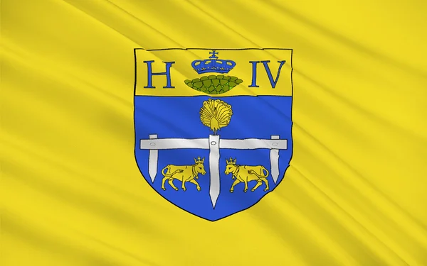 Vlag van Pau, Frankrijk — Stockfoto