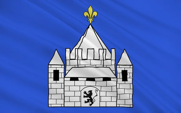 Bandera de Provins, Francia — Foto de Stock