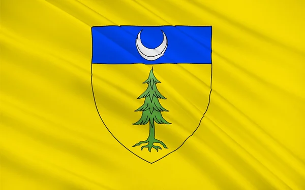 Flag of Saint-Claude, France — Stock Photo, Image