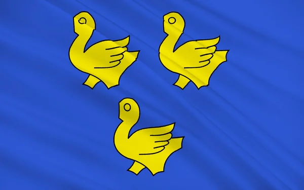 Bandera de Sarcelles, Francia —  Fotos de Stock