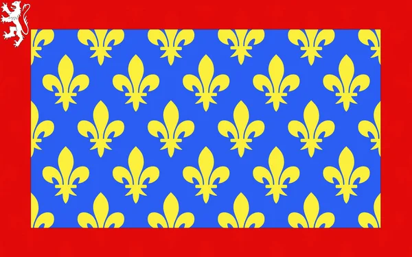 Bandera de Sarthe, Francia —  Fotos de Stock
