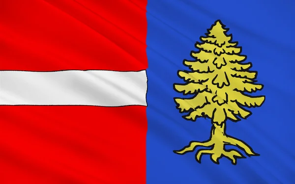 Флаг Танна, Франция — стоковое фото