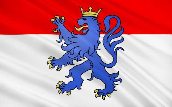 Прапор Вандомської, Франція — стокове фото