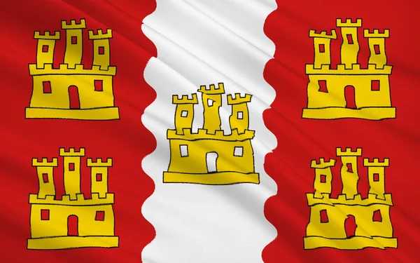 Vienne bayrağı — Stok fotoğraf