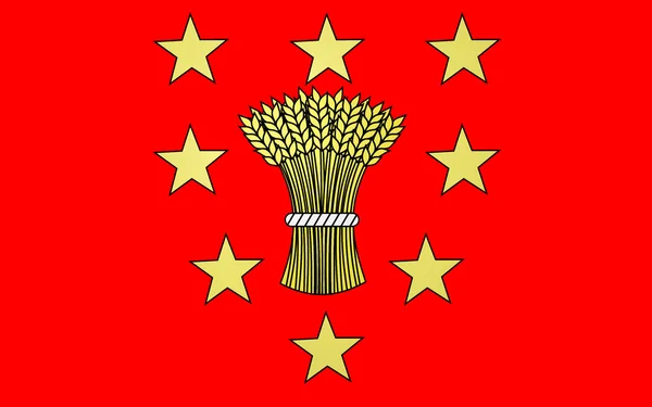 Флаг Вузье, Франция — стоковое фото
