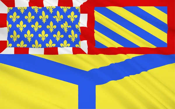 Yonne bayrağı — Stok fotoğraf