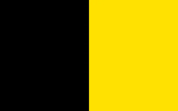 Vlag van Sneek, Friesland Nederland — Stockfoto