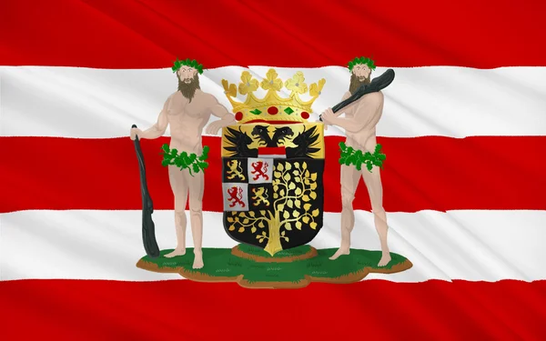 Flagga Hertogenbosch, Nederländerna — Stockfoto