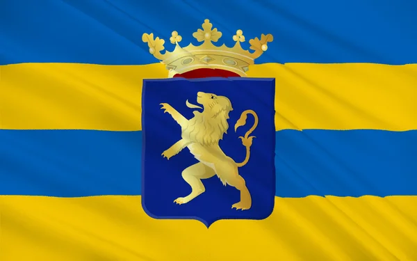 레 바르 덴, 네덜란드의 프리슬란트의 국기 — 스톡 사진