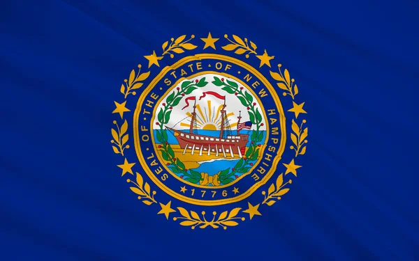 Flag of New Hampshire, USA