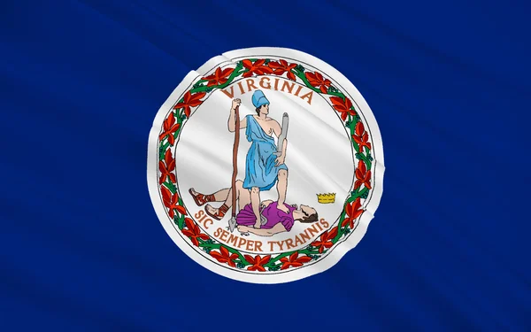 Flag of Virginia, USA — Stock Photo, Image
