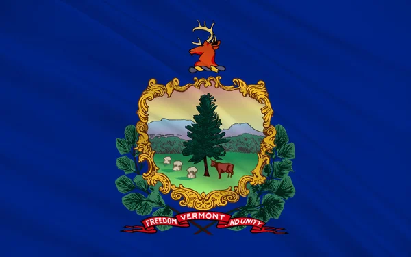 Flag of Vermont, USA — Stock Photo, Image