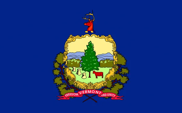 バーモント州、アメリカ合衆国の国旗 — ストック写真