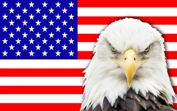 Flag of USA — Stock Photo, Image