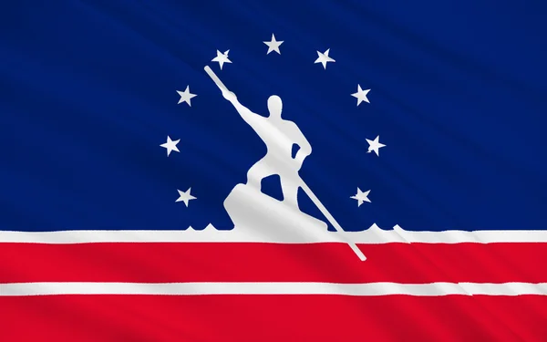 Vlajka Richmond ve Virginii, Usa — Stock fotografie