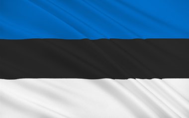 Estonya bayrağı