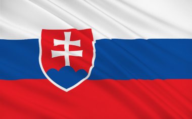 Slovakya bayrağı