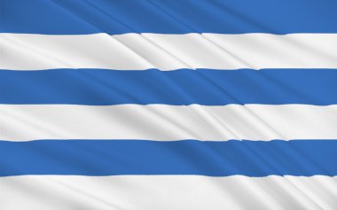 tallinn, Estonya bayrağı