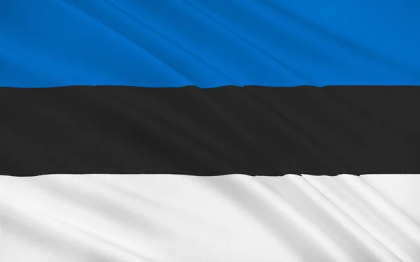 Bandiera dell'Estonia — Foto Stock