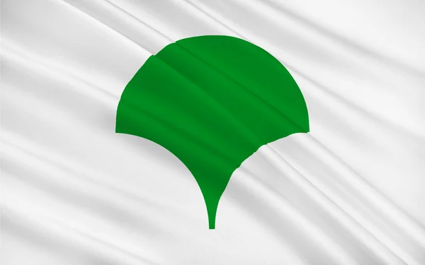 Flag of Tokyo, Japan — Stock Photo, Image